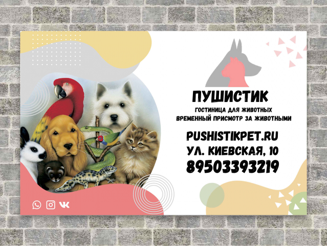 баннер животные