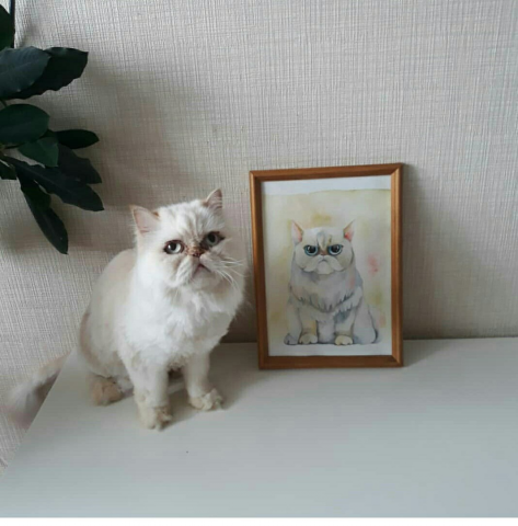 Работа 3780801