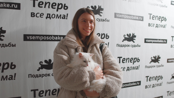 Всемпокотику 4