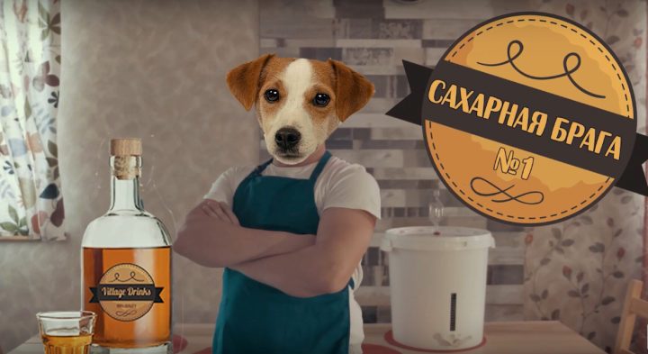 Видеоблог для группы Village Drinks от команды Dia prod