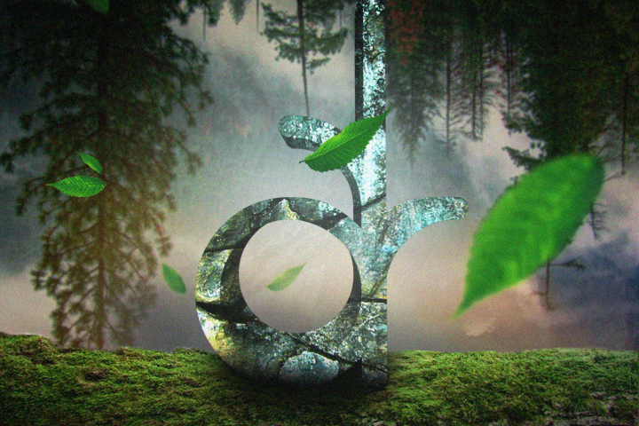 Логотип на ветке