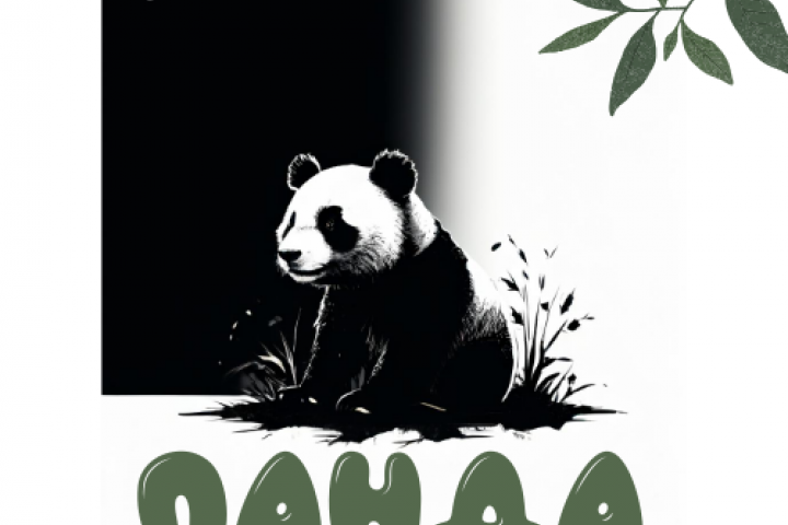 Панда 1