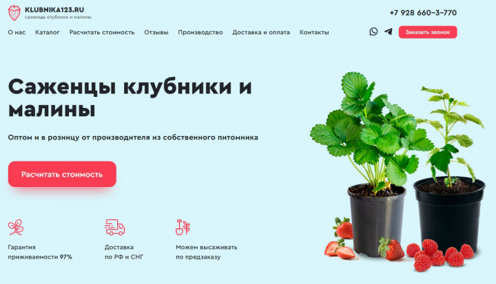 Лендинг под ключ