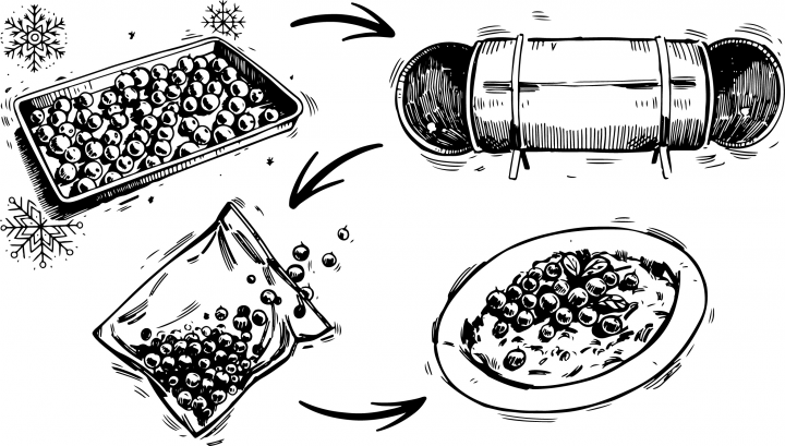 иллюстрации для упаковки замороженных ягод