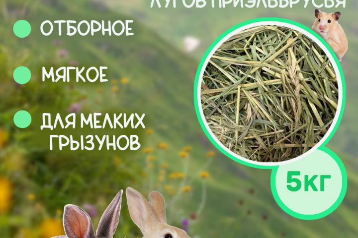 Инфографика для маркетплейсов.