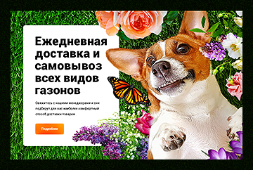 Баннер в полном размере —»