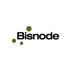 Customer journey map для Bisnode
