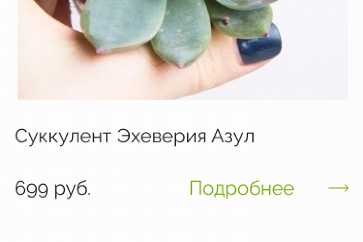 цветочный магазин