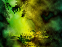 Магический лес