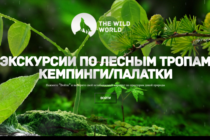 Parallax(the wild world)