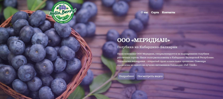 Hello Berry