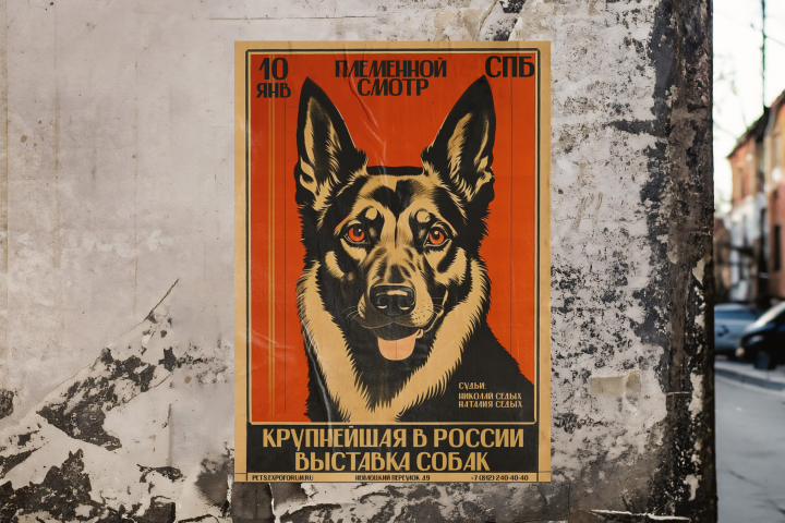 Всероссийская выставка собак