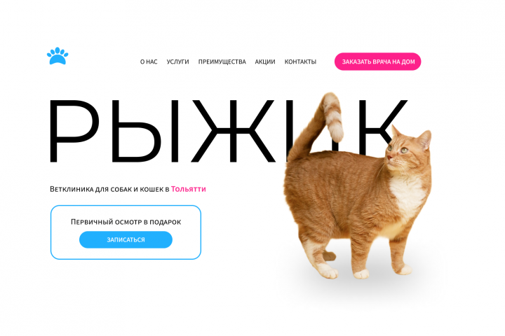 Редизайн для сайта ветклиники