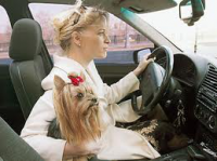 Развенчание мифов про чайлдфри