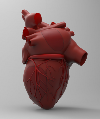 Heart (3d print)