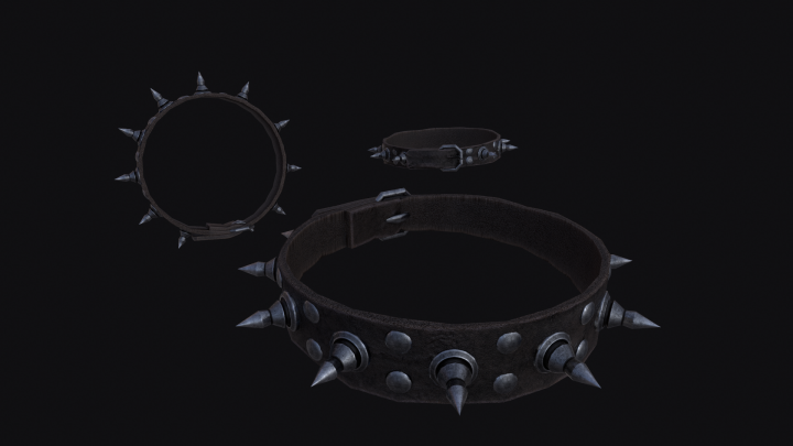 Dog Collar