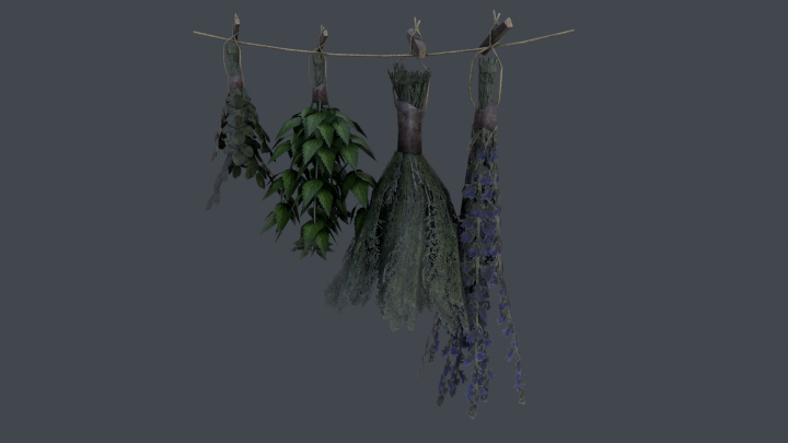 Dried Herb