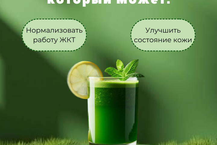 Хлорофилл