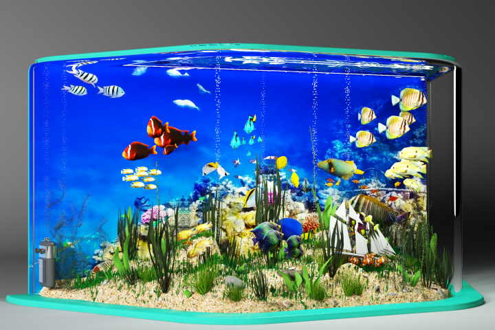 Аквариум