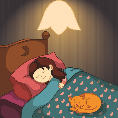 Иллюстрации для детских карточек