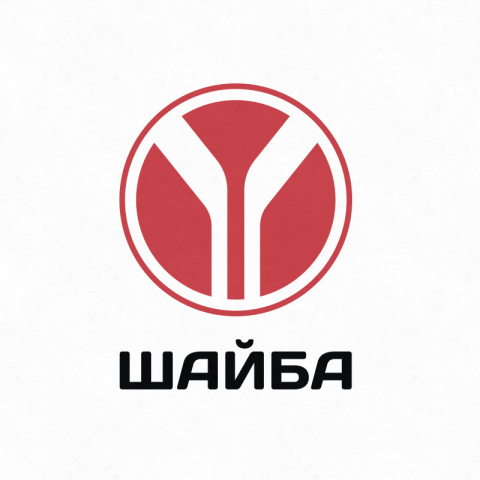Логотип для программы учета тренировок "Шайба"