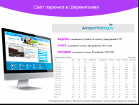 Парковка в Шереметьево