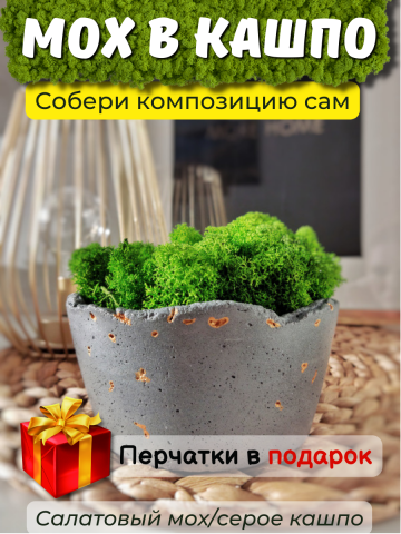 Инфографика для карточки товара Wildberries