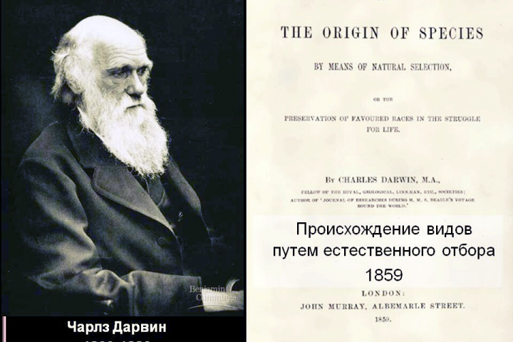 "Происхождение видов" Чарльза Дарвина