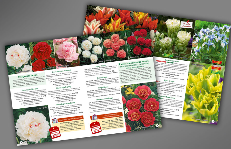 каталог цветы.jpg
