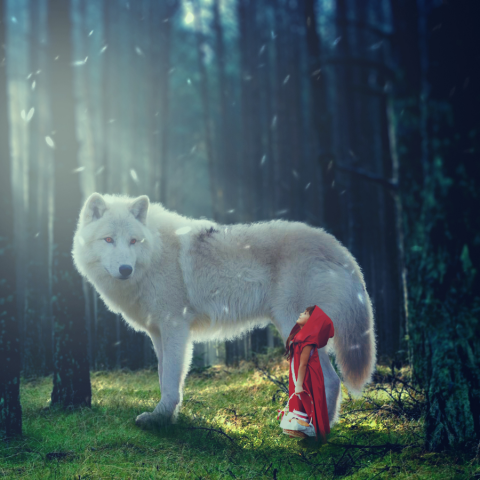 photoshop manipulation/коллаж