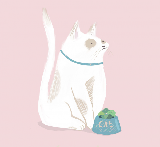 Кот-веган