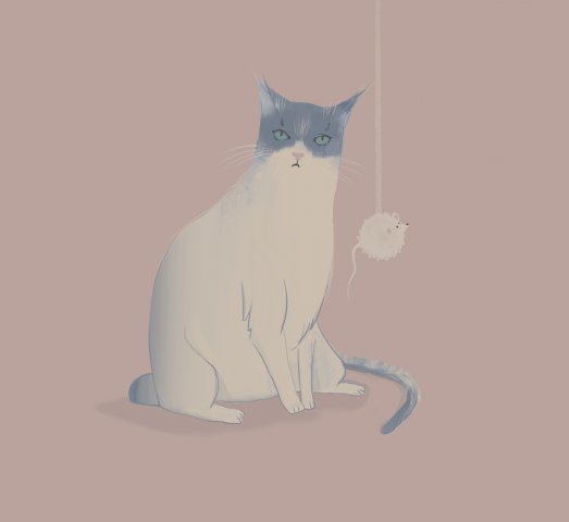 Котик