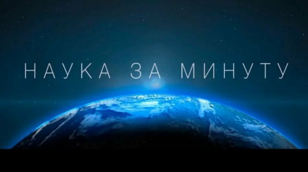 Видео по моему сценариию