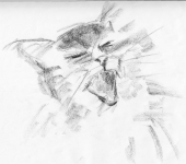 котэтрис