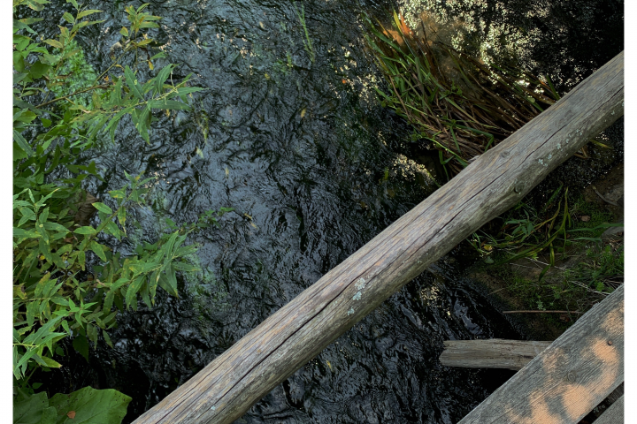 banner image