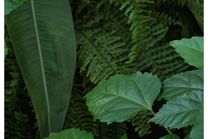 banner image