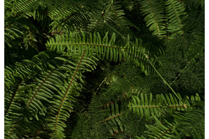 banner image