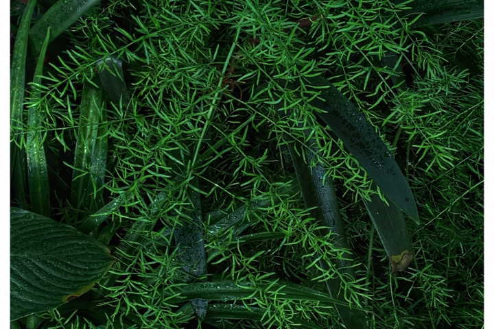 banner image