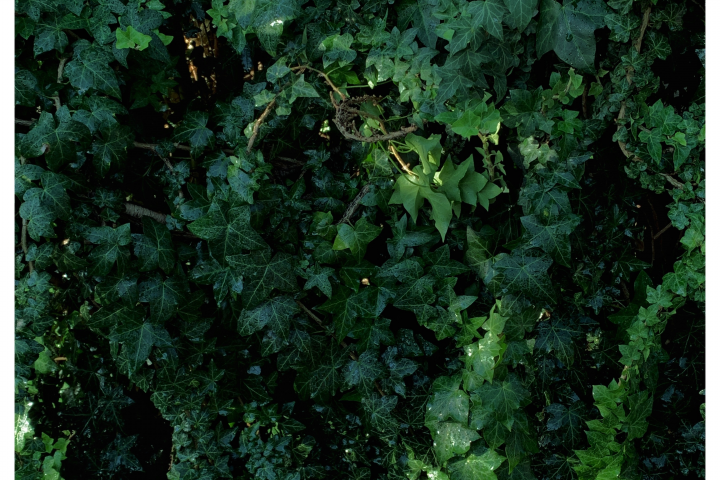 banner image