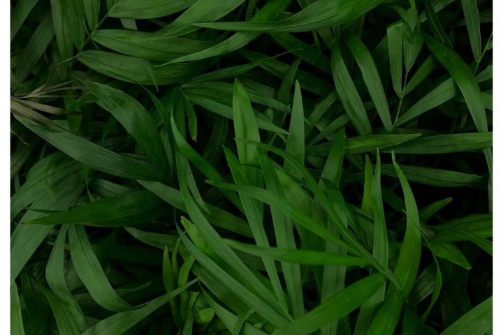 banner image