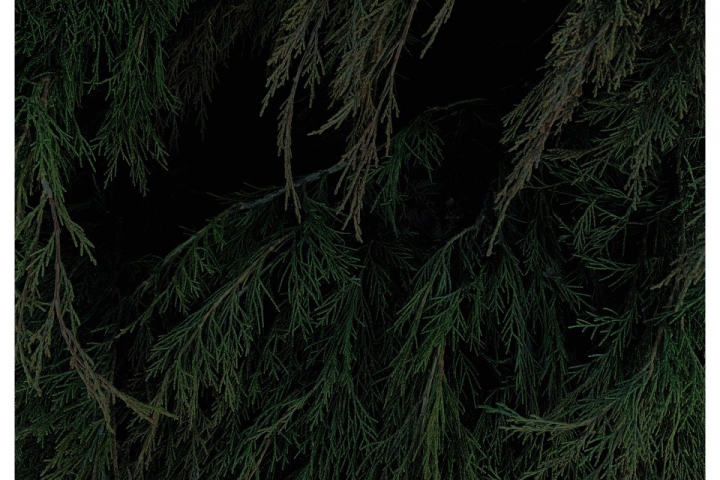 banner image