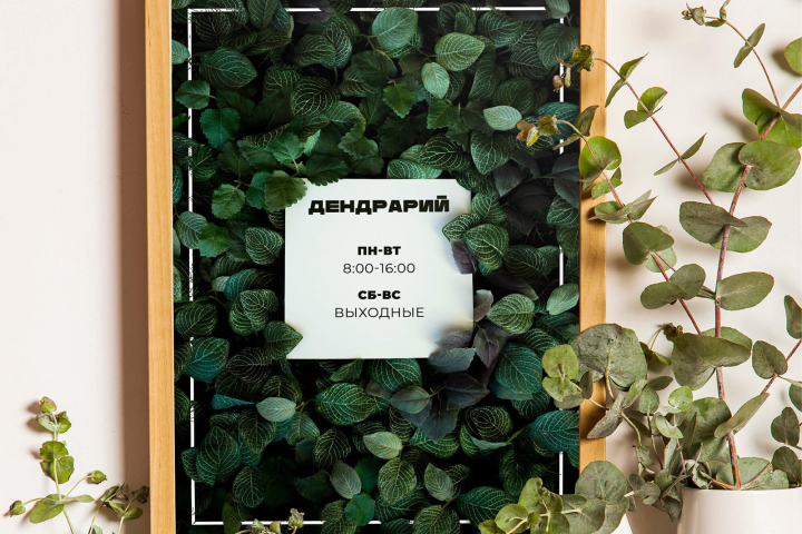 Дендрарий – режим работы