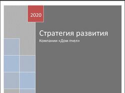 Стратегия развития