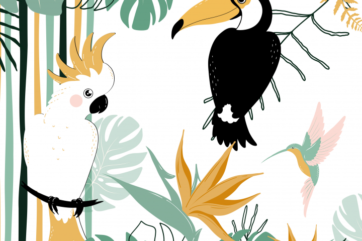 Иллюстрации для фотосервиса