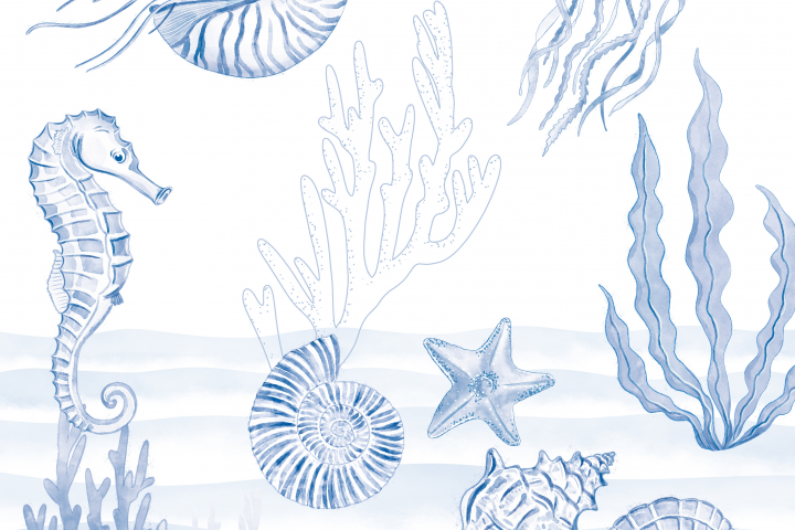 Иллюстрации для фотосервиса