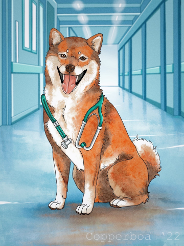 dogtor