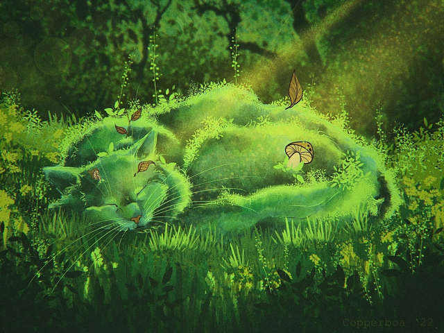лесной кот