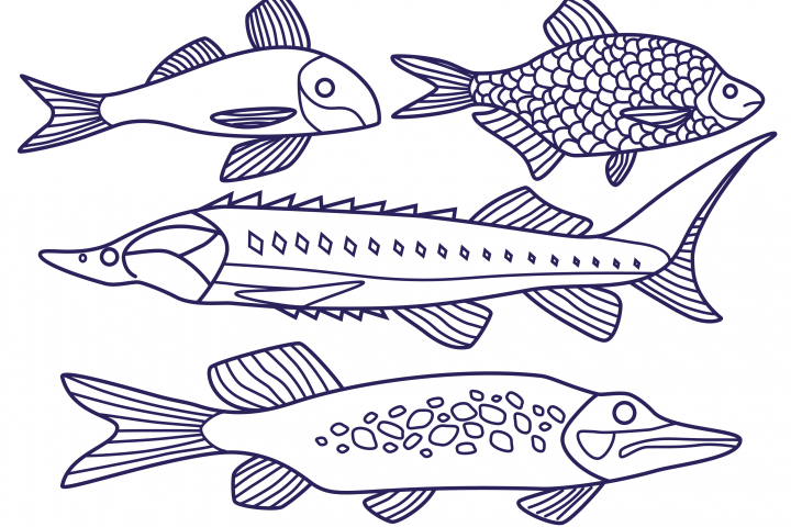 Векторные паттерны