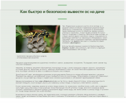 Профилактика появления ос