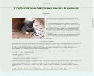 Профилактика появления мышей